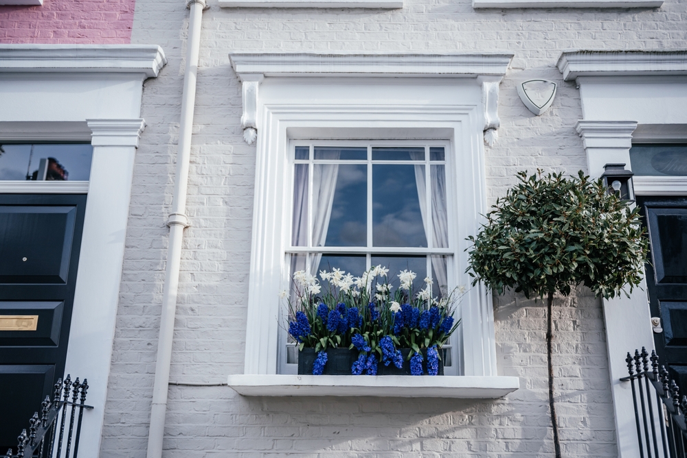 A photo of a sash window with a flowerbox in front, full of blue and white flowers.